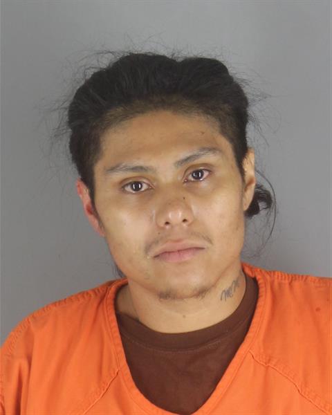 Booking photo of William Palma