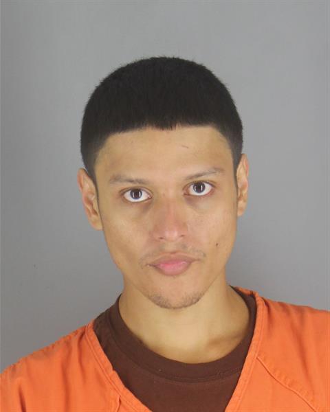 Booking photo of Luis Michel