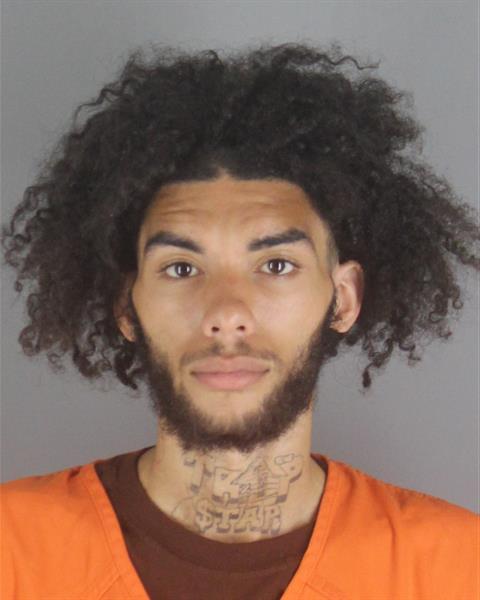 Booking photo of Avion Hamer