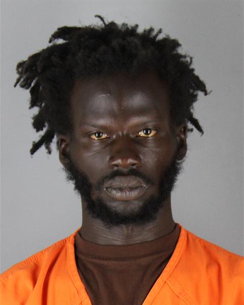 Booking photo of Paul Ochan