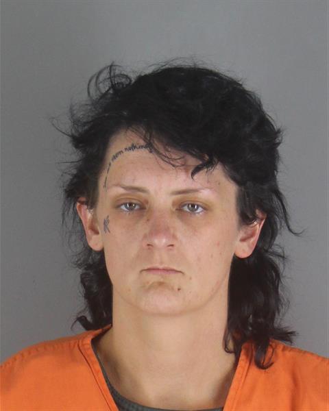 Booking photo of Stephanie Stich