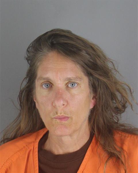 Booking photo of Natalie Diebel
