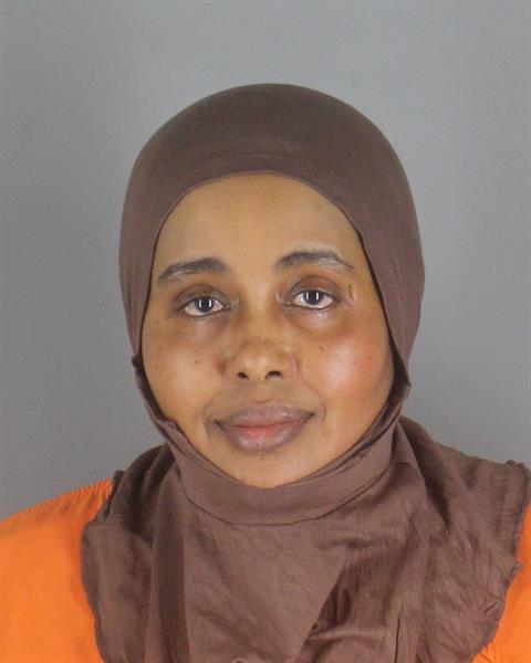Booking photo of Adina Noorshe