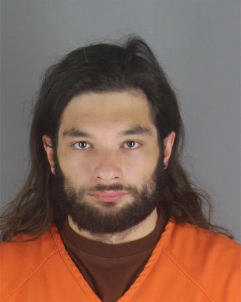 Austin Miller booking photo