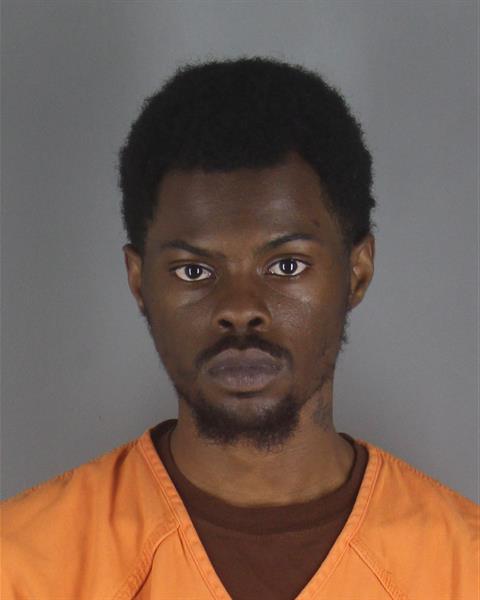 Annis Coleman booking photo