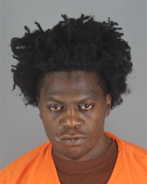 Jarobie Johnson booking photo