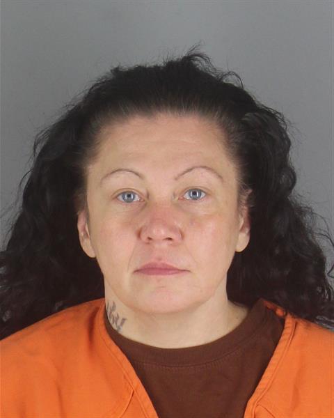 Nicole Hanson booking photo