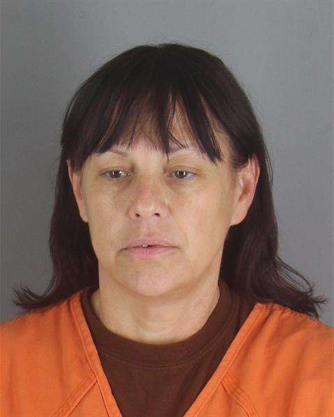 Kristie Hodgkins booking photo