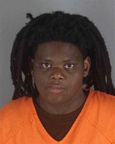 Annalee Mays booking photo
