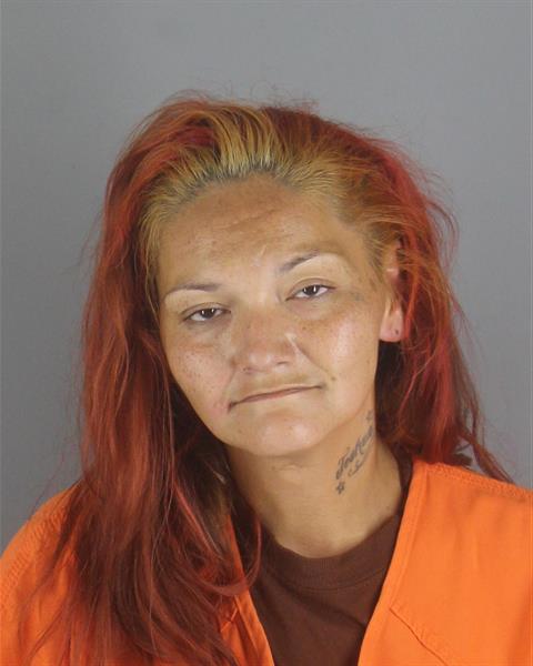 Celeste Larsen booking photo