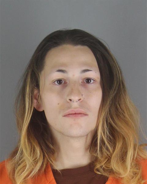 Gabriel Schwartz booking photo