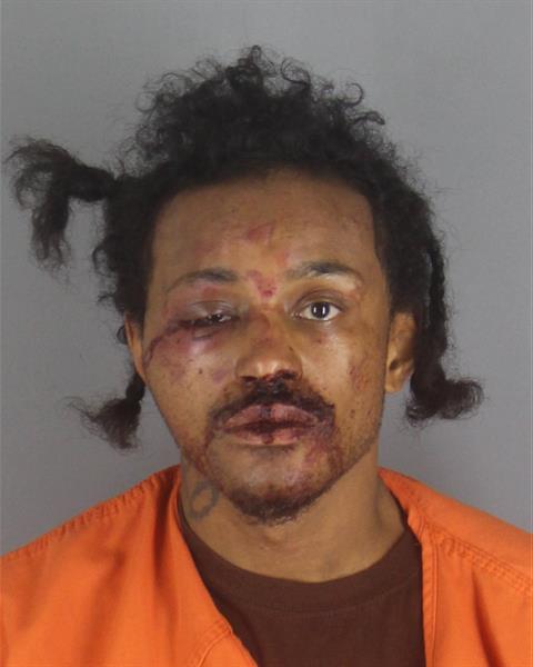 Gerome Williams booking photo