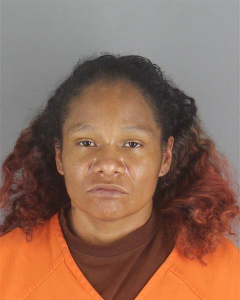 Eva Nelson booking photo