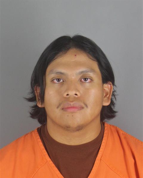 Mateo Ralston booking photo