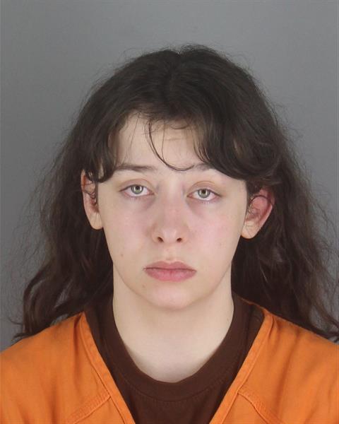 Kylie Martenson booking photo