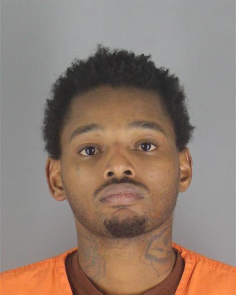 James Williams booking photo