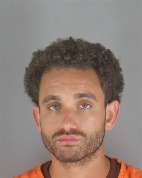 Paul Allen booking photo