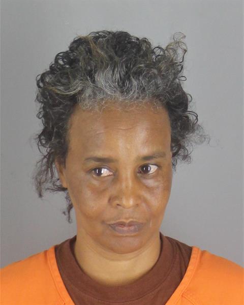 Fadhi Shurie booking photo