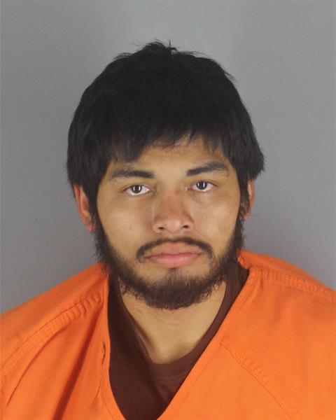 Booking photo of Edtson Ramos