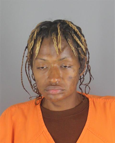 Desiree Owens booking photo