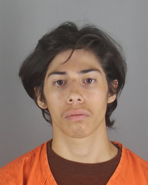 Eli Ottaviani booking photo