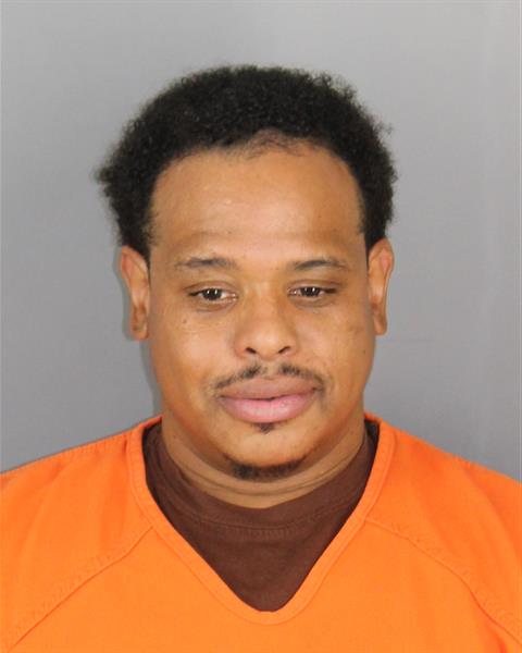 Nidjia Nicks booking photo