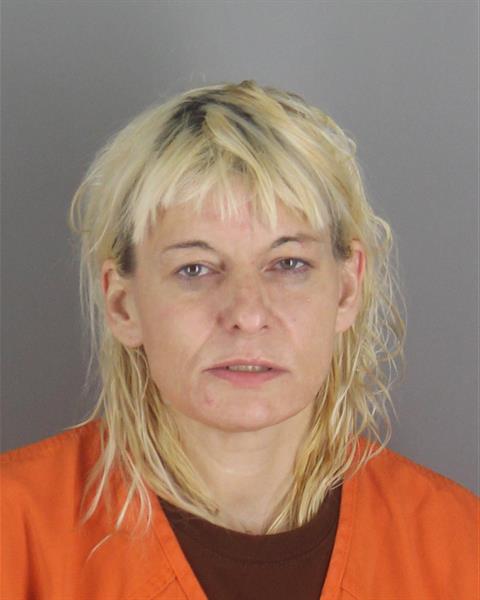 Laura Dvorak booking photo