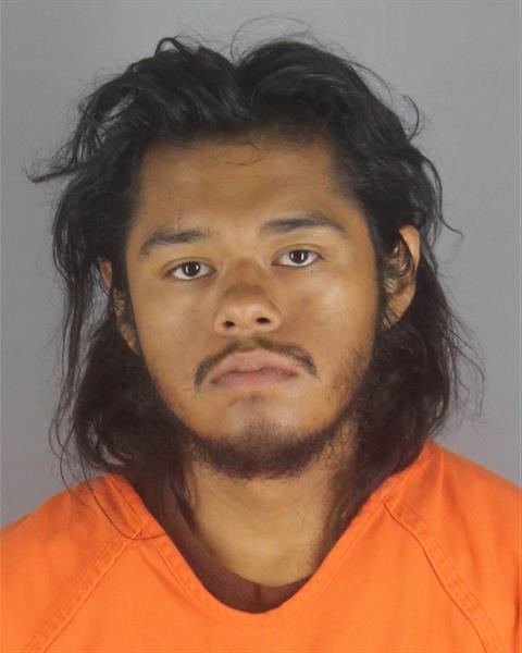 Fernando Rojas booking photo