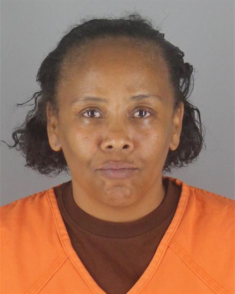 Kristina Johnson booking photo
