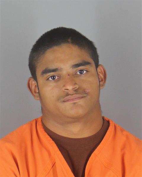 Ivis Herrera booking photo