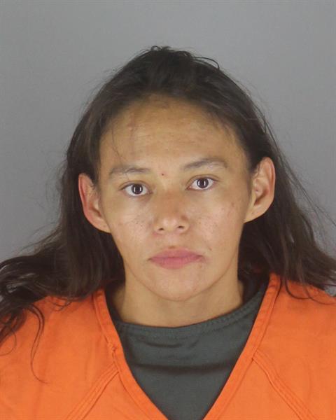 Elizabeth Fairbanks booking photo