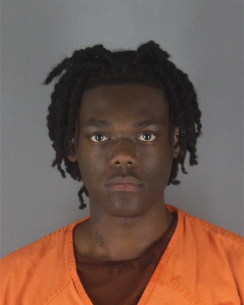 Daniel Ellington booking photo