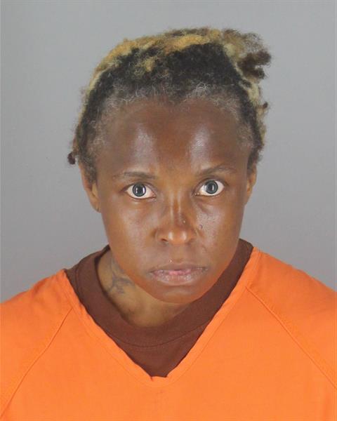 Tiffany Watson booking photo