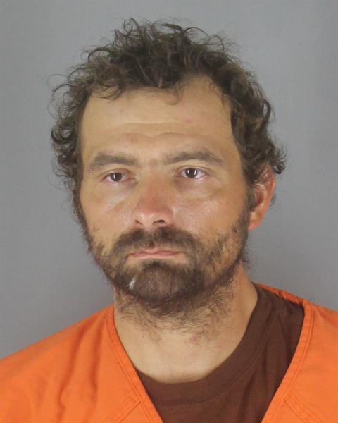 Steven Wallin booking photo