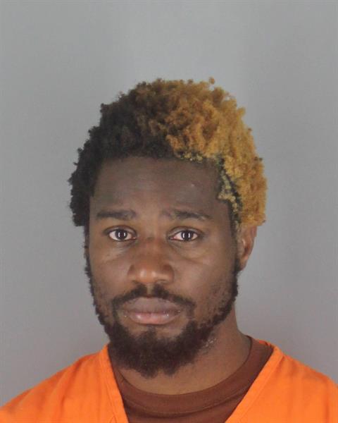 Tyree Walker booking photo