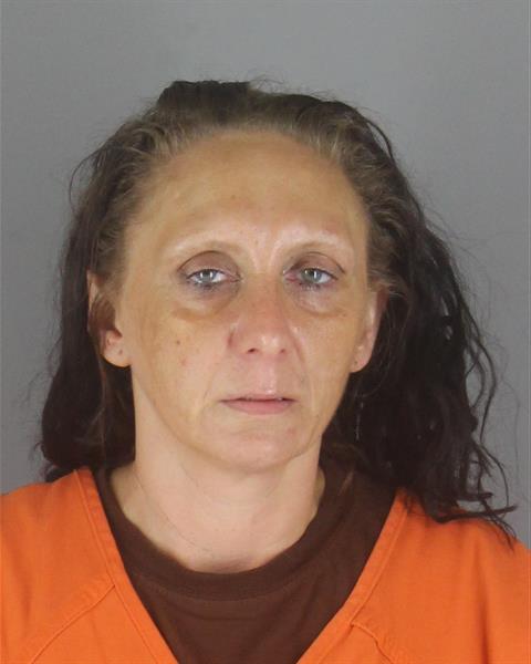 Nicole Powers booking photo