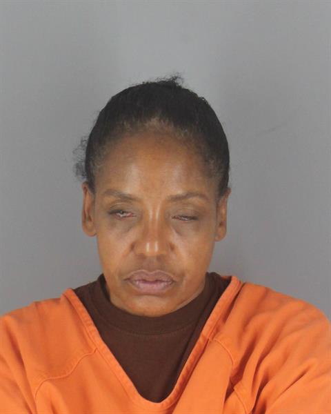 Geisha Mcneal booking photo