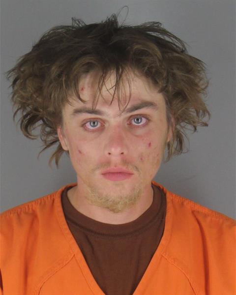 Andrew Petersen booking photo