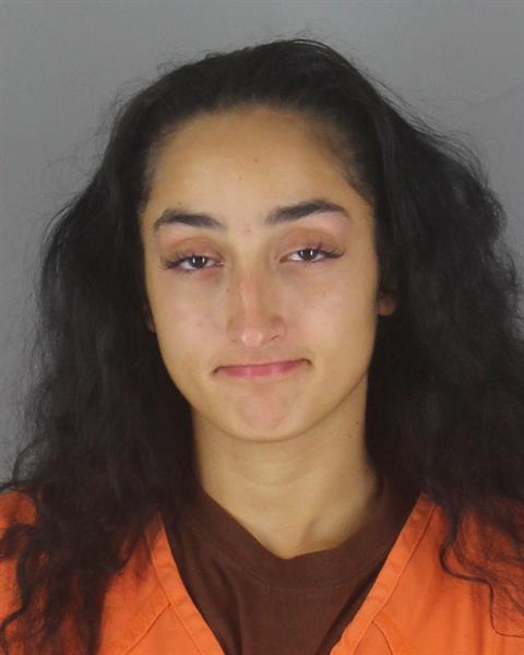 Deziree Meringdol booking photo