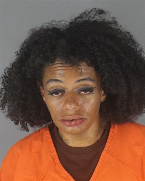 Booking photo of Breanna Lee