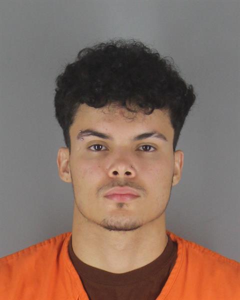 Booking photo of Sebastian Alvarez Gomez