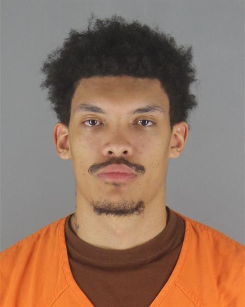 Booking photo of Gabriel Haaland