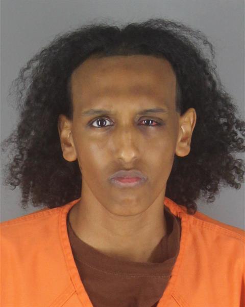 Booking photo of Mahdi Elmi