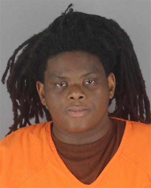 Booking photo of Annalee Mays