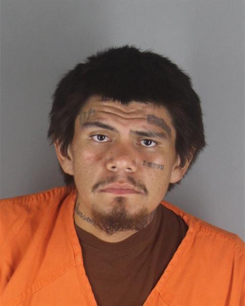 Booking photo of David Johnson