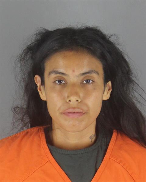 Booking photo of Tessa Smith