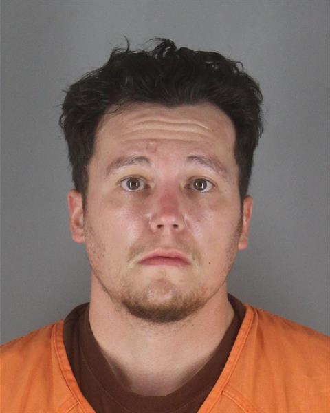 Booking photo of Leo Wanna