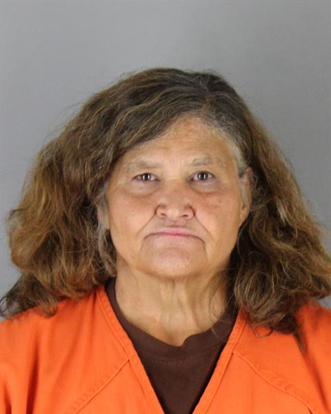 Booking photo of Michelle Mcphillips