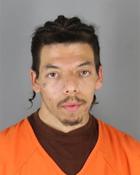 Booking photo of Michael Papasodora