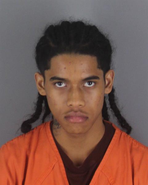 Booking photo of Dakaree Johnson